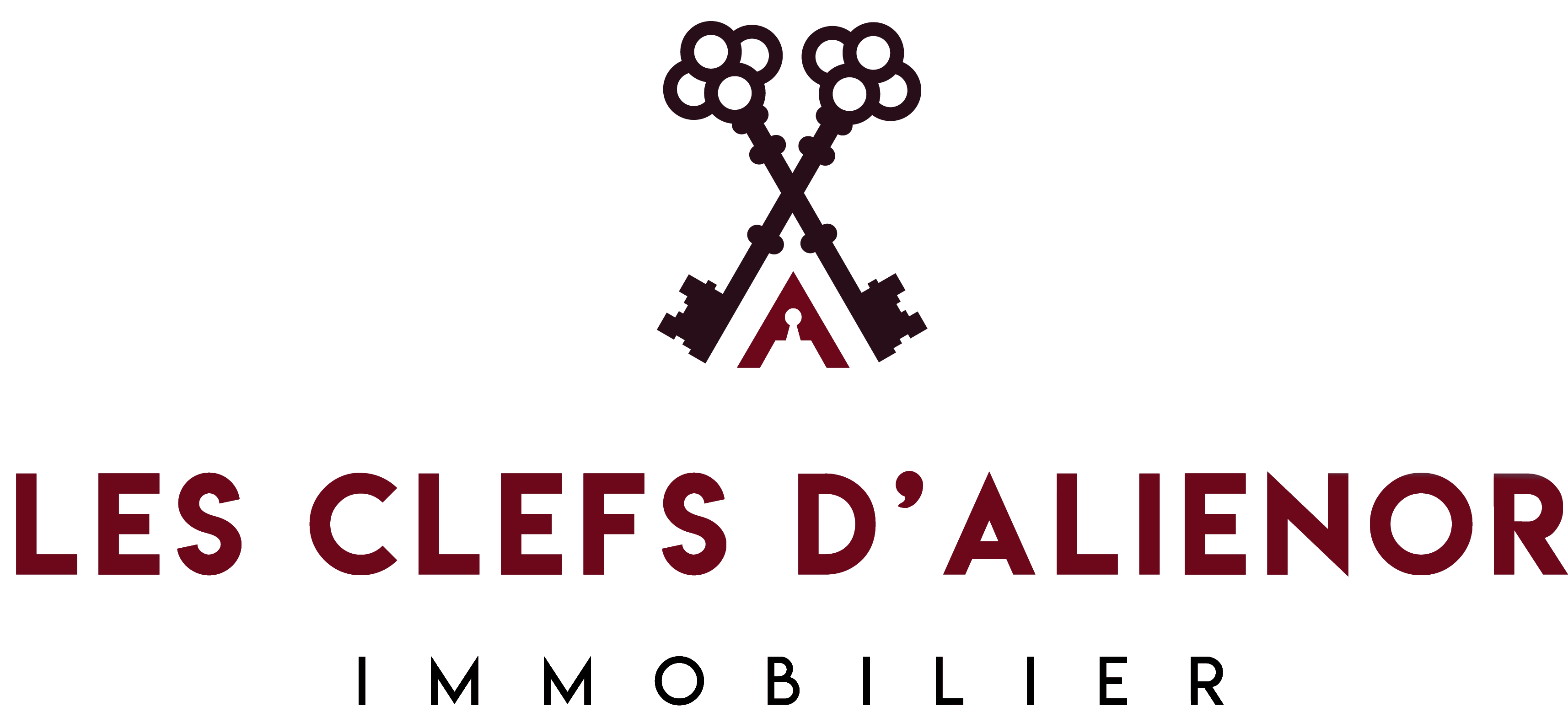 agence Immobilière LES CLEFS D'ALIENOR